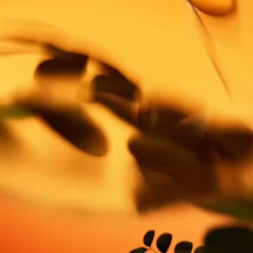 ماسک Wellosophy با عصاره سنا و رایحه لیمو